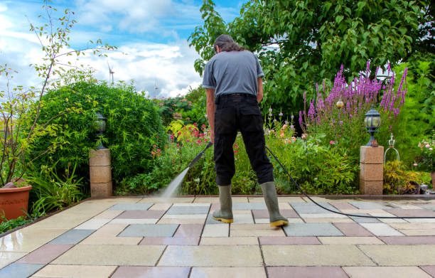 Animal Enclosure Cleaning in Coto De Caza, CA